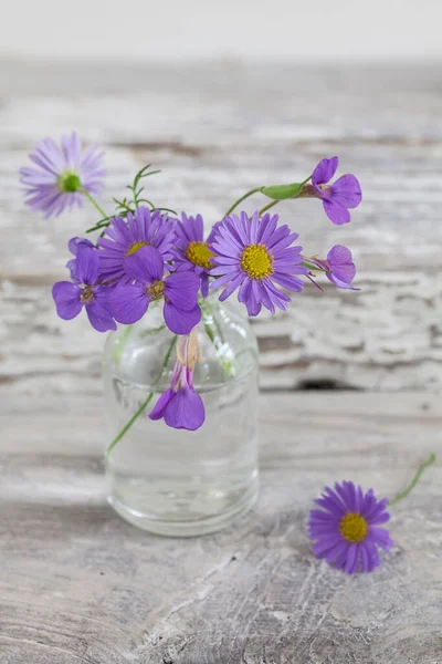 Flor nostálgica ainda vida com — Fotografia de Stock