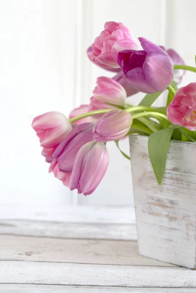 Tulpe Frühling Blumen in Weiß — Stockfoto