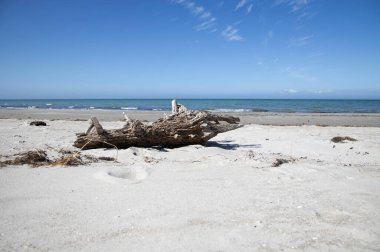 Almanya 'nın kuzeydoğusunda güneşli bir bahar gününde Mecklenburg-Vorpommern' in Baltık Denizi kıyılarında çekilmiş plaj manzarası
