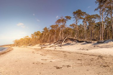 Almanya 'nın kuzeydoğusunda güneşli bir bahar gününde Mecklenburg-Vorpommern' in Baltık Denizi kıyılarında çekilmiş plaj manzarası