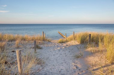 Almanya 'nın kuzeydoğusundaki Mecklenburg Vormpommern' deki güzel Baltık Denizi plajının tepelerinden manzara