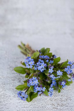 Mavi Unutma Beni Jüt 'te Çiçek Açma