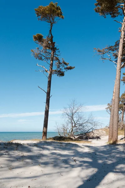 Beach Scenery Captured Lonely Baltic Sea Coast Mecklenburg Vorpommern North — Stock Photo, Image