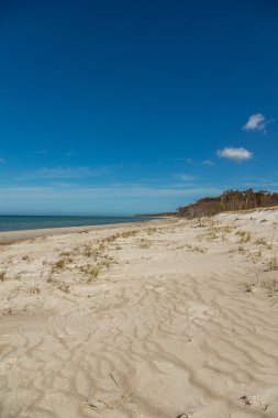 Almanya 'nın kuzeydoğusunda güneşli bir bahar gününde Mecklenburg-Vorpommern' in Baltık Denizi kıyılarında çekilmiş plaj manzarası