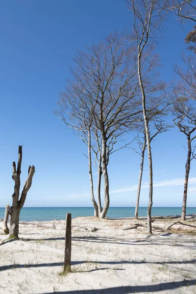 Strandkulisse Der Einsamen Ostseeküste Mecklenburg Vorpommerns Nordosten Deutschlands Einem Sonnigen — Stockfoto