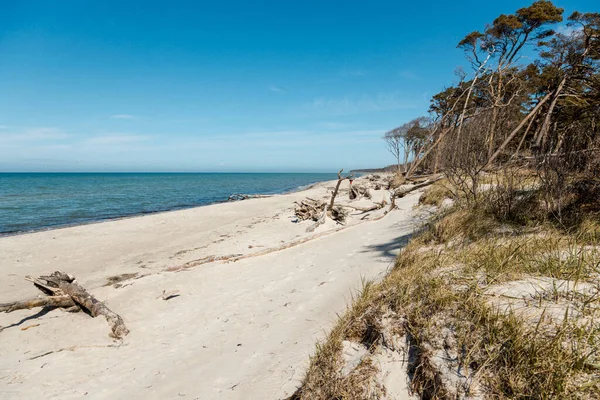 Strandkulisse Der Einsamen Ostseeküste Mecklenburg Vorpommerns Nordosten Deutschlands Einem Sonnigen — Stockfoto