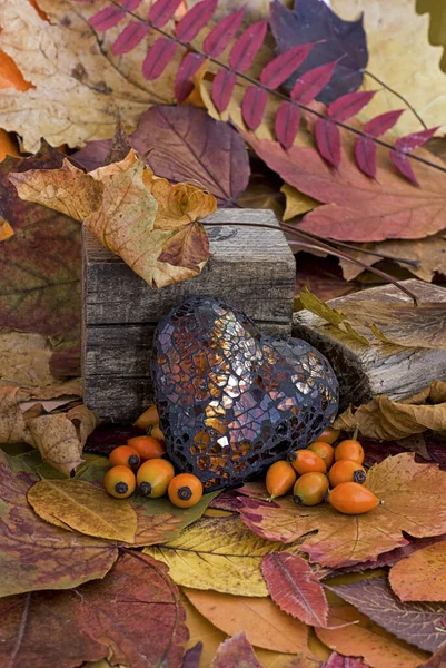 Jesienna Martwa Natura Liśćmi Colofrul Eleganckim Szklanym Sercem Różowym Biodrem — Zdjęcie stockowe