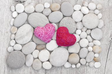 Pembe Kalpler Beyaz Çakıl Taşında