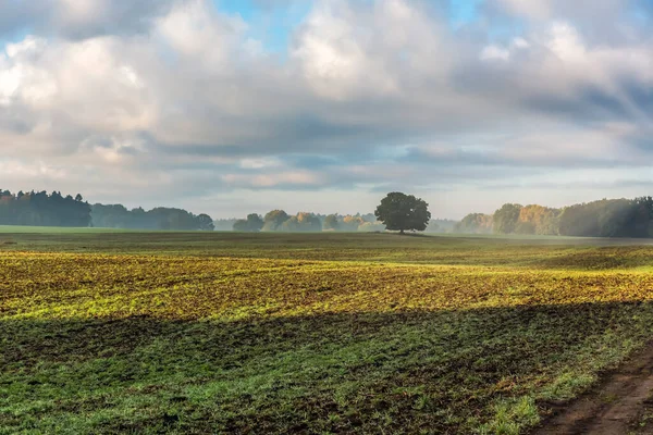 Paisagem idílica rural na Alemanha — Fotografia de Stock