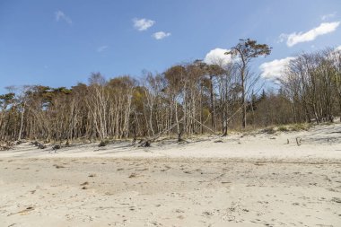 Plajda Baltık Denizi Günü