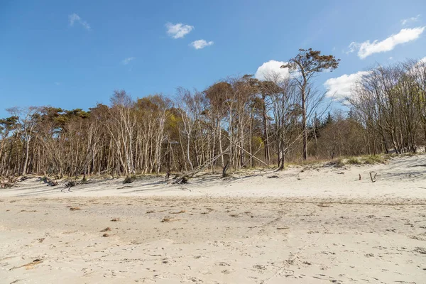 Giornata del Mar Baltico sulla spiaggia — Foto Stock