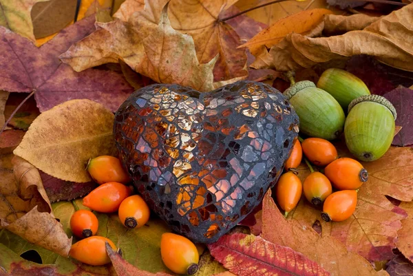 Podzimní Zátiší Listy Colofrul Elegantním Skleněným Srdcem Růžovou Kyčlí Argonem — Stock fotografie