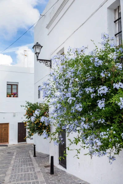 Floral Impression One White Villages Andalusia South Spain Captured Road — Stock Photo, Image