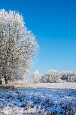 Kuzey Almanya 'da Kış Idyll