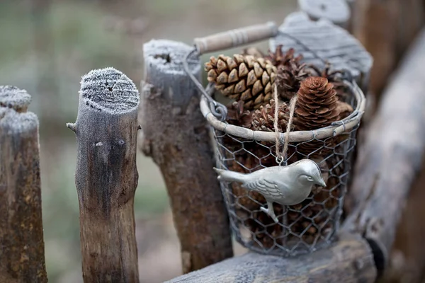 Çam kozalakları ve teneke kuşlu tel sepet, eski çitlerde kış durgun