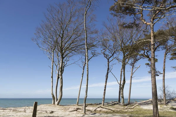 Plajda Baltık Denizi Günü — Stok fotoğraf