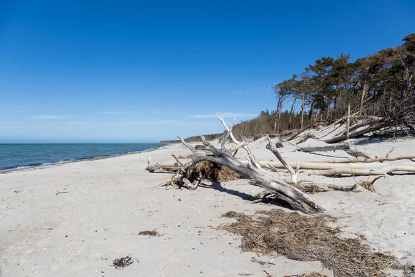 Journée de la mer Baltique à la plage — Photo