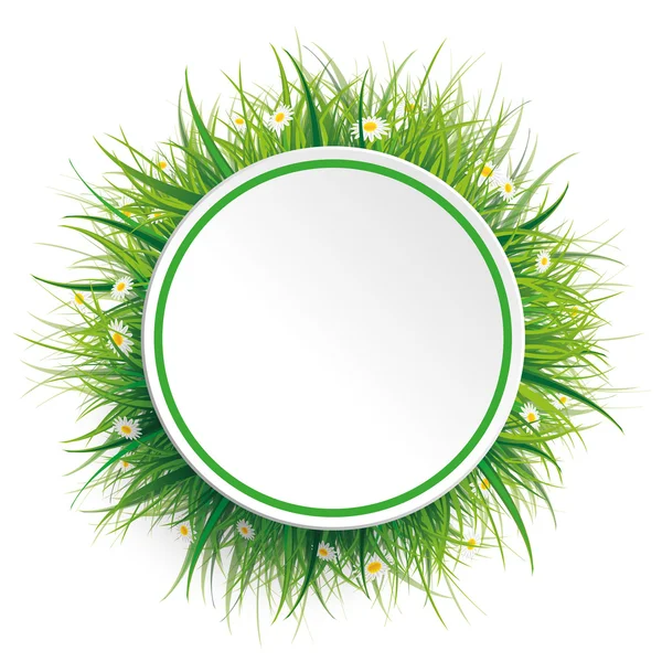 Circle Green Grass Flowers — Stock Vector