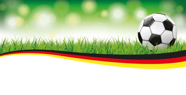 Calcio Erba Bokeh Header Germania — Vettoriale Stock