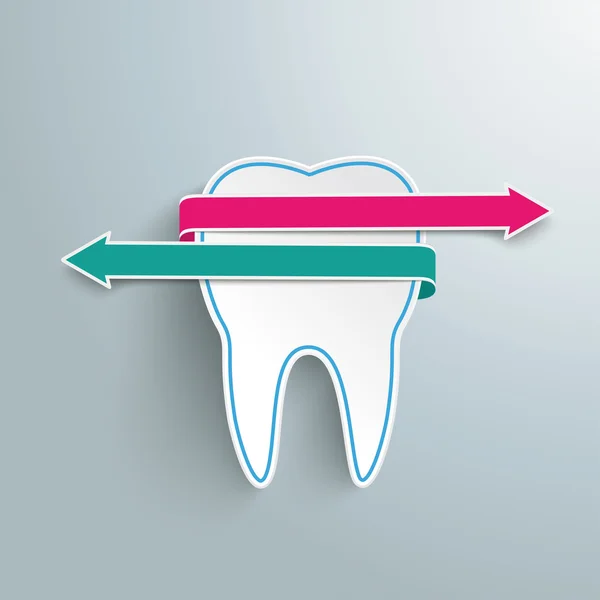 Tooth met kleur pijlen — Stockvector