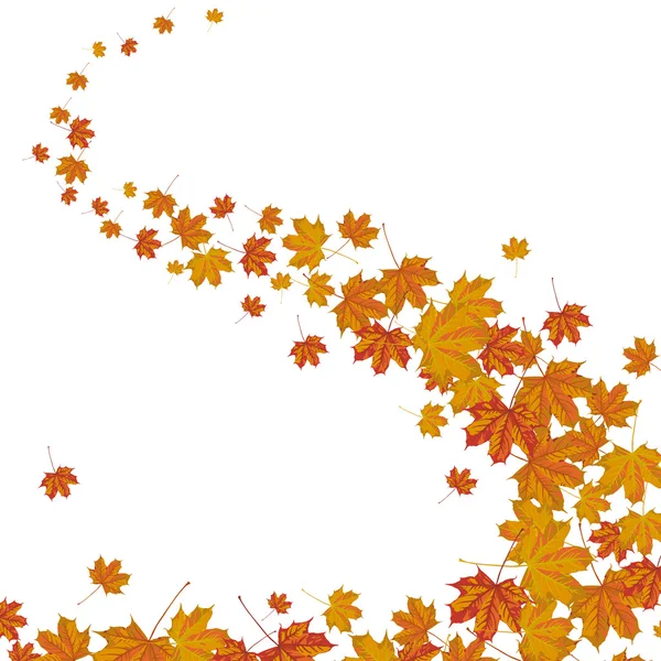 Herfst bladeren vallen — Stockvector