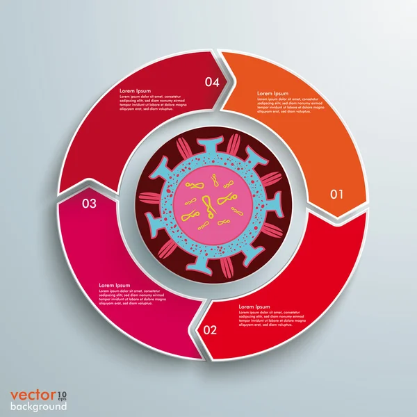 Infografía del ciclo del virus — Vector de stock