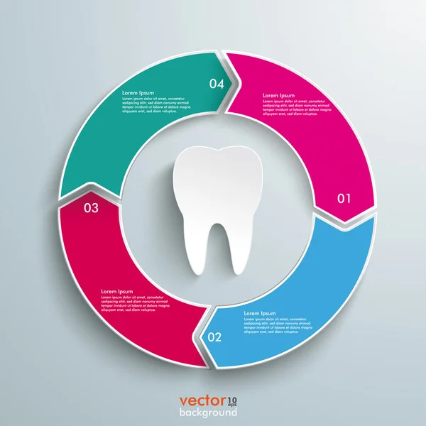 Gekleurde ring cyclus 4 opties tand — Stockvector