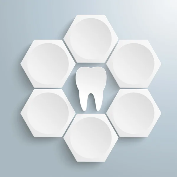 6 witte zeshoeken Cylce tand — Stockvector