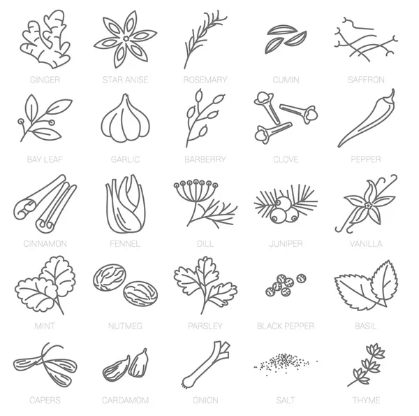 Iconos de hierbas y especias — Archivo Imágenes Vectoriales