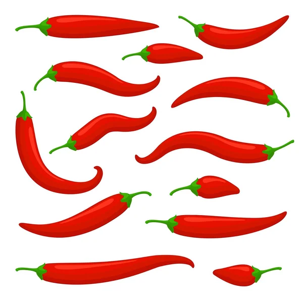 Closeup chilly pepper vector set. — Stockový vektor