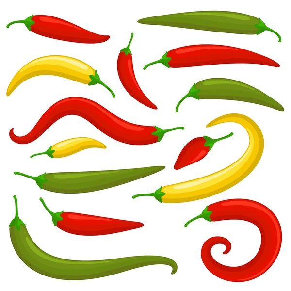 Closeup chilly pepper vector set. — Stock Vector