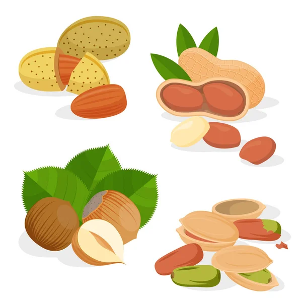Set vector icons nuts and seeds — Stock Vector