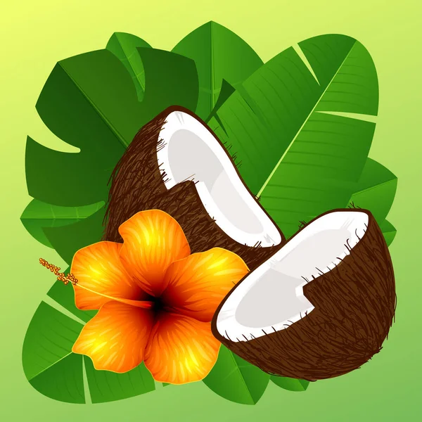 Feuilles tropicales vertes et noix de coco — Image vectorielle