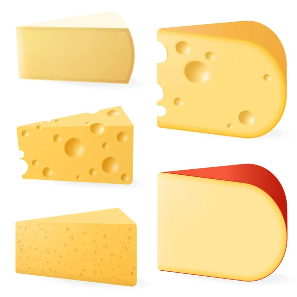 Différents types de fromages. — Image vectorielle