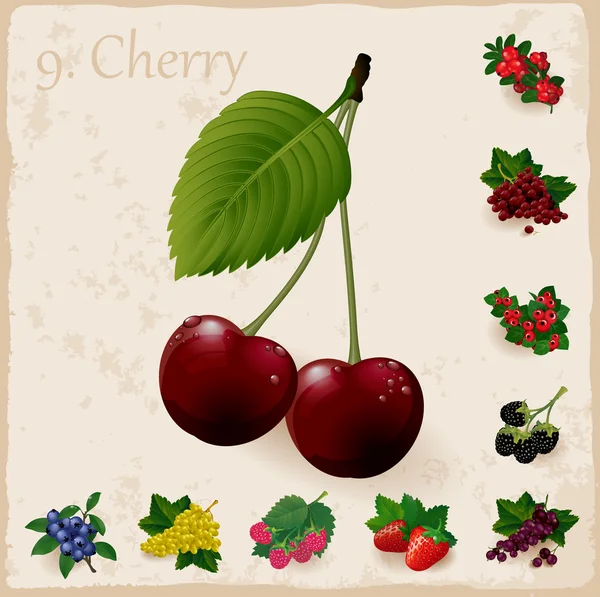 Collezione vintage Berries . — Vettoriale Stock