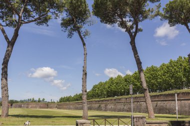 Lucca, kasaba duvarı, Toskana, İtalyan