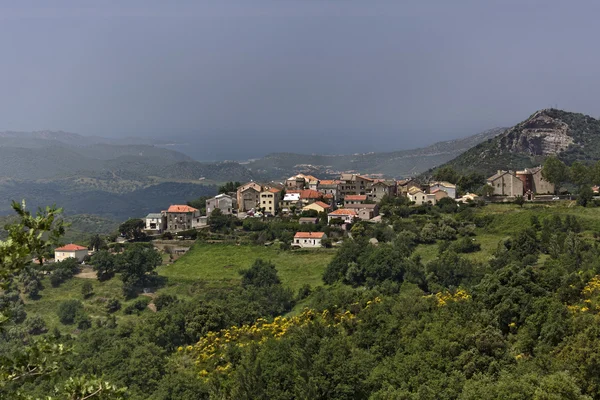 Mountain village Olmeta di Tuda (Olmeta-di-Tuda), Nebbio region, Northern Corsica, France, Europe — Stock Photo, Image