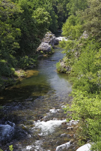 Golo River, Corsica, France, Europe — Stock Photo, Image