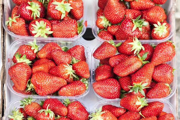 Fresas frescas en un mercado en Italia, Europa —  Fotos de Stock