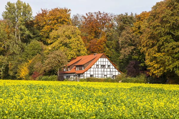 Timbered house in Bad Iburg, Osnabrück country, Lower Saxony, Germany, Europe — Zdjęcie stockowe