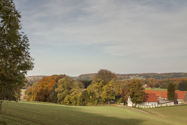 Bauernhof in borgloh, osnabrucker land, niedersachsen, deutschland, europa — Stockfoto