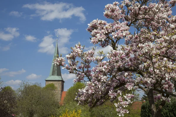 Église évangélique St. Laurentius à Schledehausen, Pays Osnabrueck, Basse-Saxe, Allemagne (Église protestante) ) — Photo