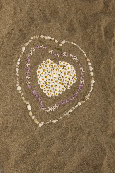 Sandy beach with hearts from flowers, Corsica, Europe — Stock Photo, Image