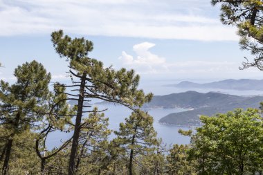 Dağ Monte Perone, Elba, Toskana, İtalya, Avrupa'yı göster