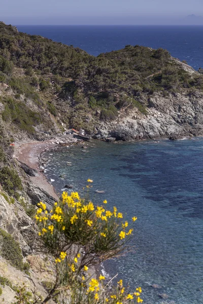 Pomonte χωριό στη δυτική ακτή του Έλβα, Τοσκάνη, Ιταλία — Φωτογραφία Αρχείου