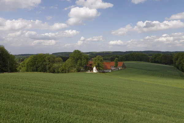 Gospodarstwo w maju, region kraju osnabrueck, Dolna Saksonia, Niemcy, Europa — Zdjęcie stockowe