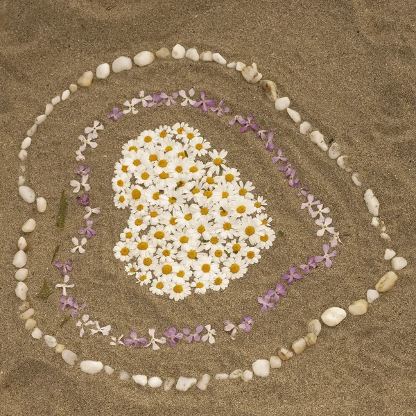 Sandy beach with heart from flowers, Corsica, Europe — Stock Photo, Image