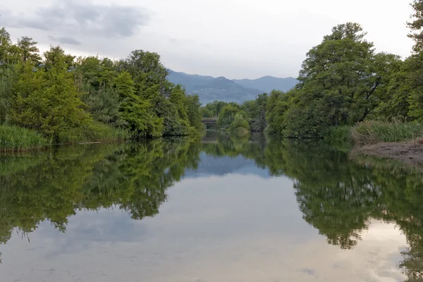 Estero del río cerca de Moriani Plage, San Nicolao, Córcega, Francia, sur de Europa —  Fotos de Stock