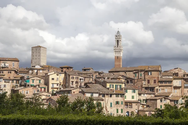 Sienna, Torre del Mangia (Palazzo Pubblico) Piazza del Campo, Toskana, İtalya, Avrupa — Stok fotoğraf