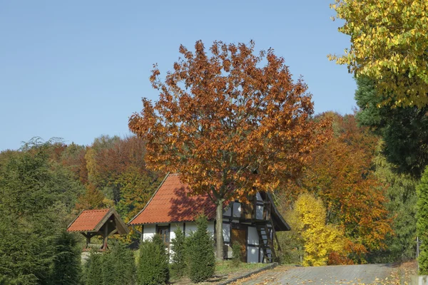 Timbered house in autumn, Hagen, Osnabrueck country, Lower Saxony, Alemanha — Fotografia de Stock